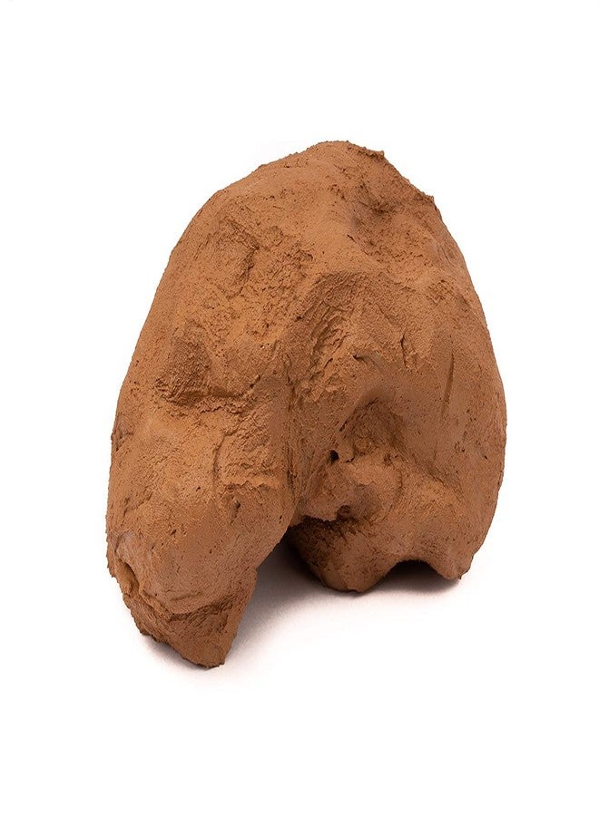 Onlinch Home Pottery Sculpting Ceramics Natural Earthenware Terracotta Clay etc (Brown, 1 Kg) - Image 5